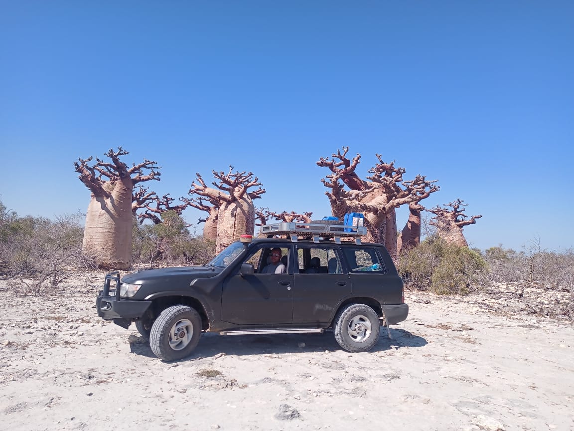 Baobabs Andavadoaka