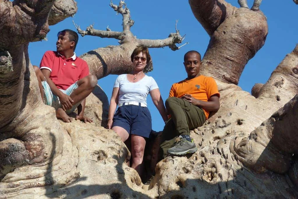 Baobab Madagascar