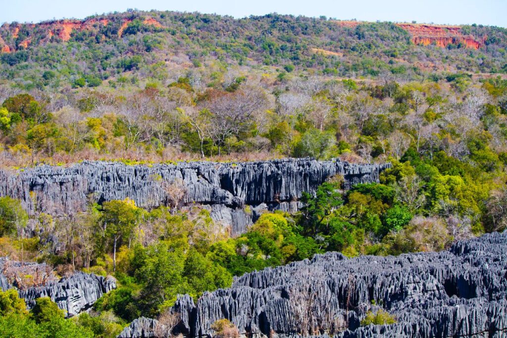 Tsingy de Bemaraha