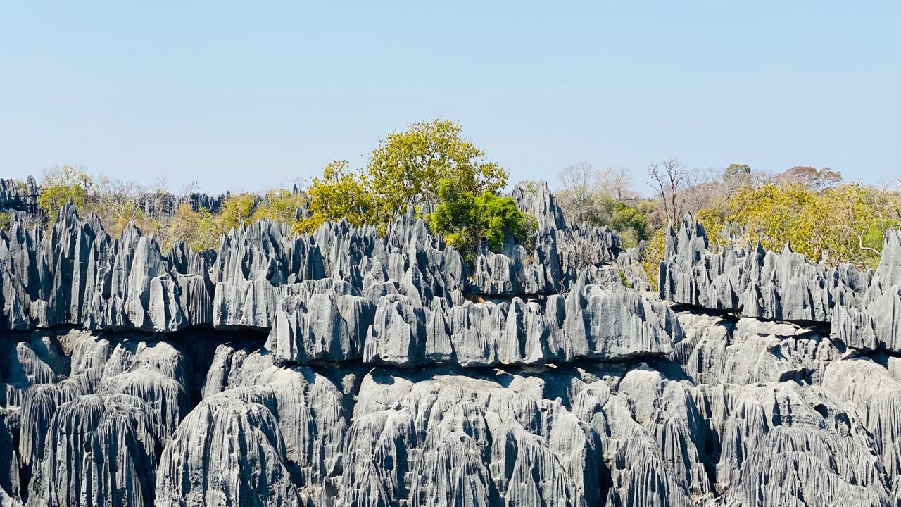 Tsingy de Bemaraha