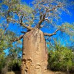 Madagascar travel experts