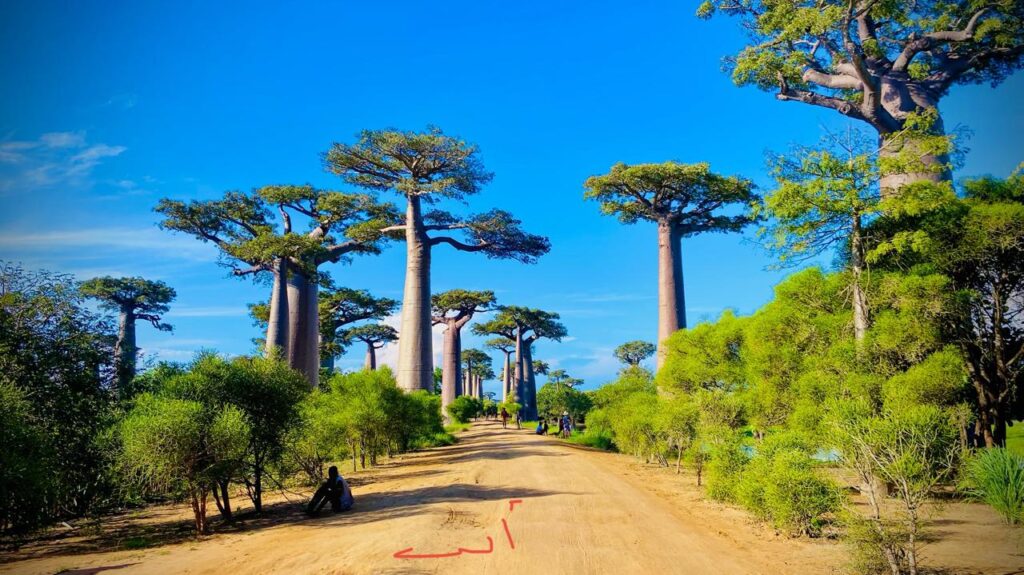 Madagascar travel experts