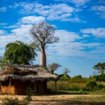 Madagascar western destination