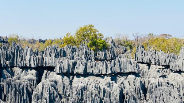 Tsingy de Bemaraha