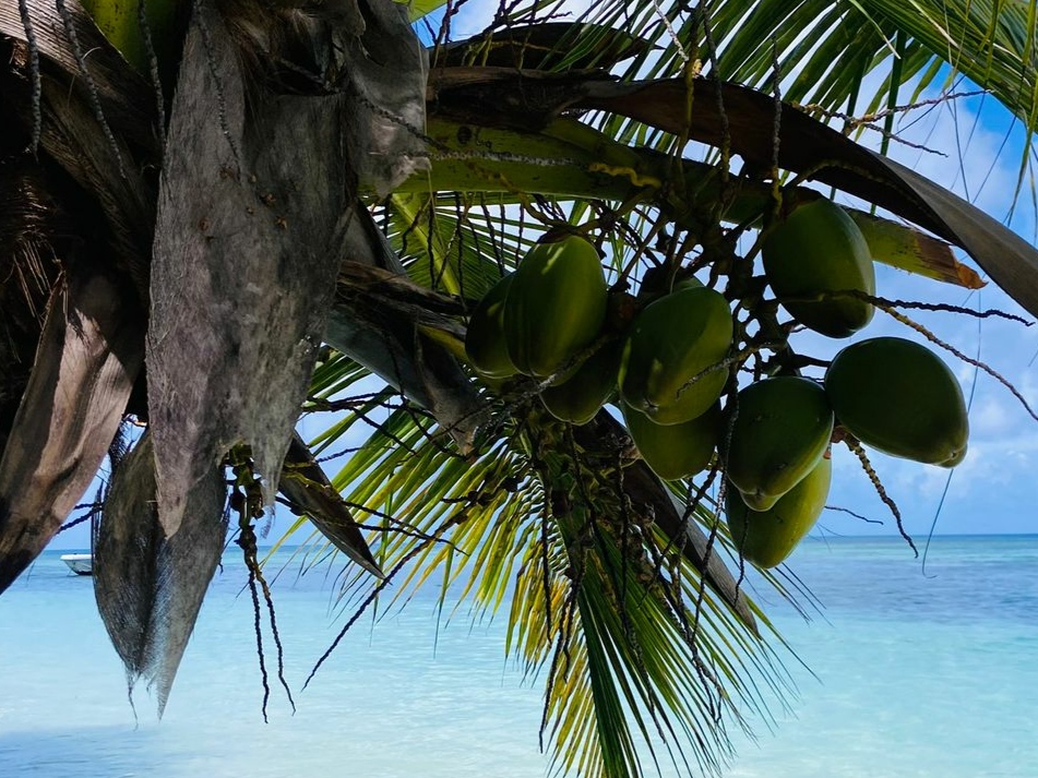 Sainte Marie island Madagascar