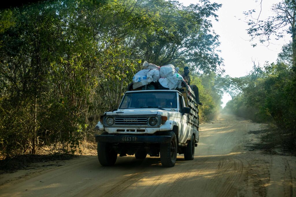 Baobab Avenue Madagascar