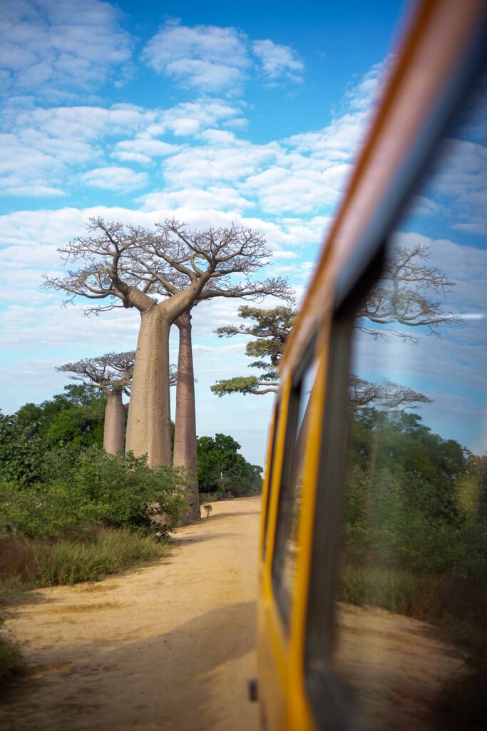 Madagascar baobab tour