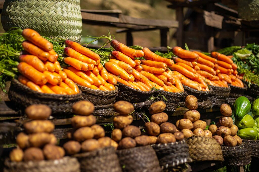 Zafimaniry villages Madagascar
