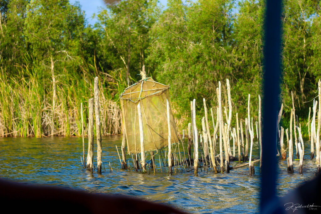 Tourism in Toamasina post-cyclone