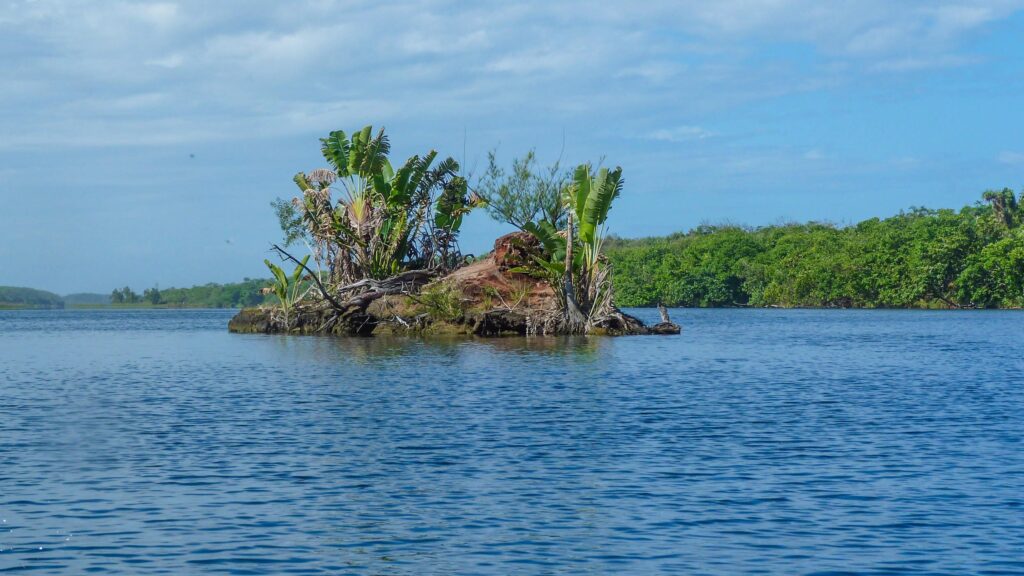 3 days Palmarium tour