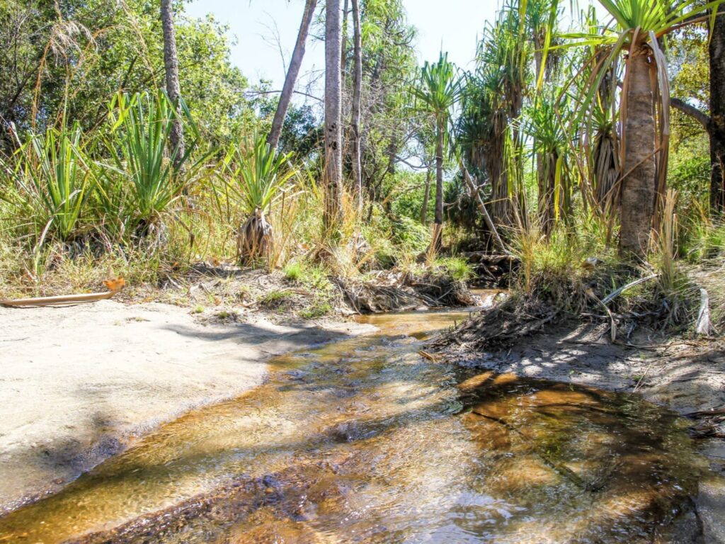 Madagascar national parks tour