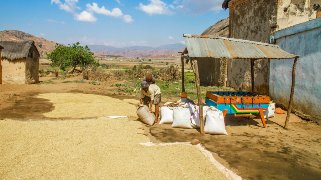 when to go to Madagascar