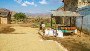 when to go to Madagascar