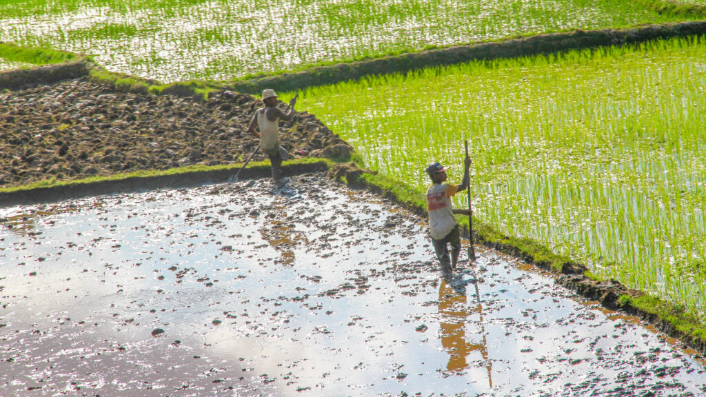 Madagascar travel guide 2026