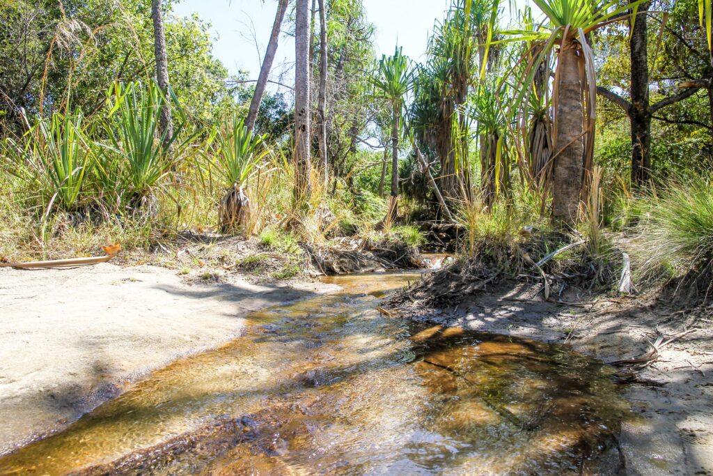 Luxury Madagascar Tours