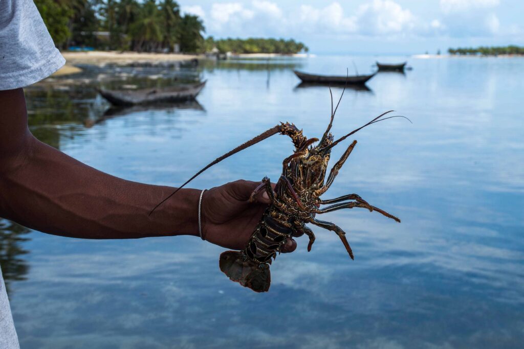 Madagascar tourism