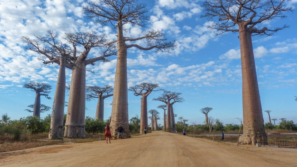 Madagascar vacation