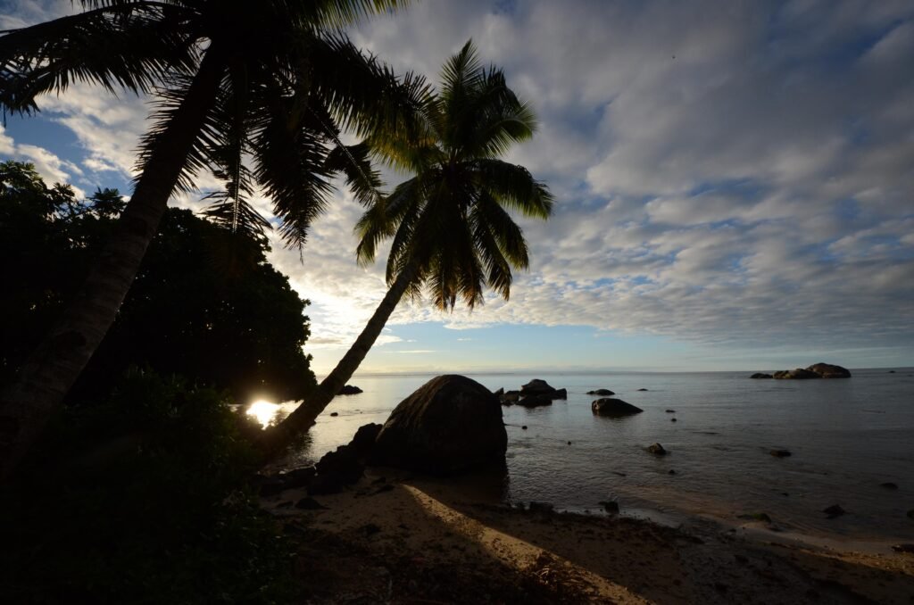 Madagascar whale watching tour, beautiful beach in Sainte Marie