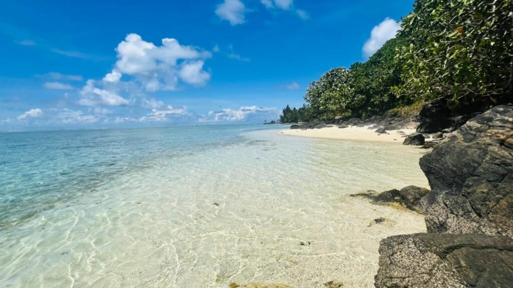Madagascar whale watching tour, turquoise blue ocean and tropical beach
